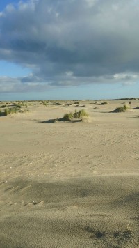 Afbeelding invoegen